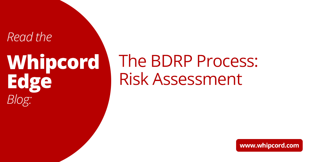 The BDRP Process: Risk Assessment