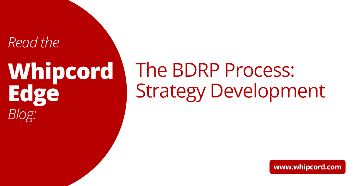 The BDRP Process: Strategy Development